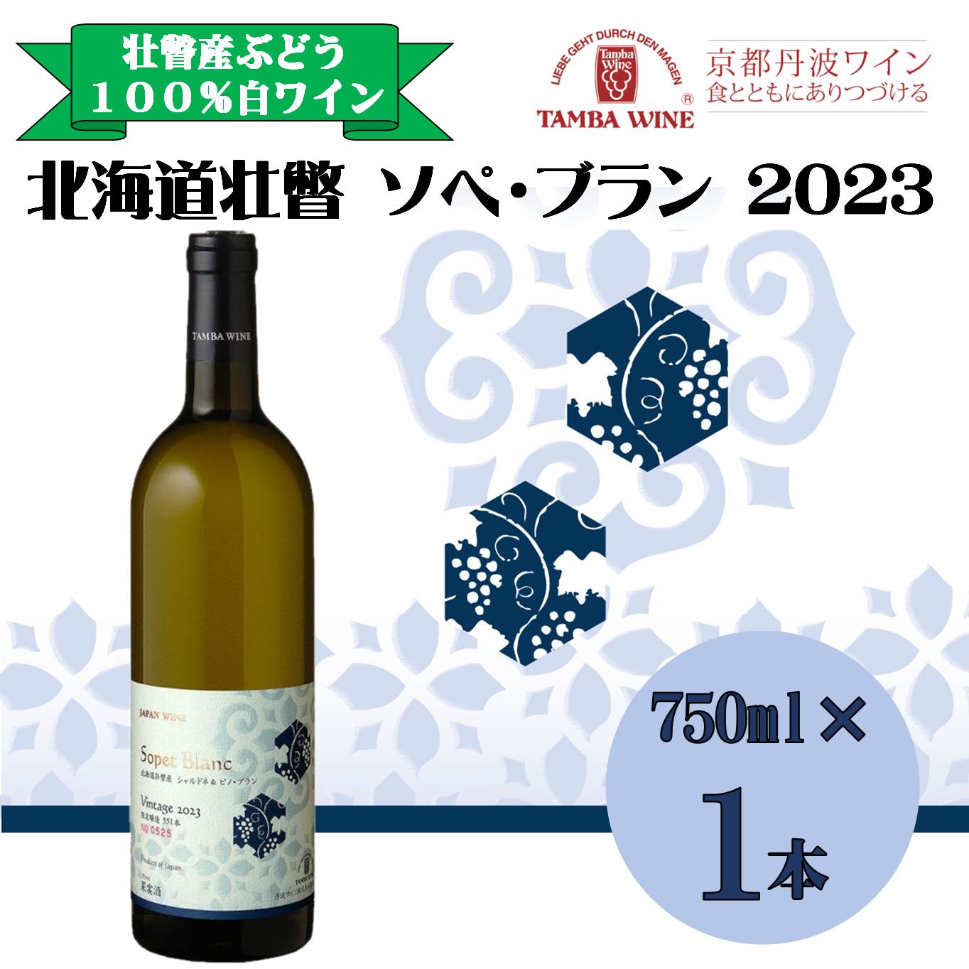 【ふるさと納税】北海道壮瞥産 ソペ・ブラン2023(辛口白ワイン) 750ml 【 ふるさと納税 人気 おすすめ ランキング 北海道 壮瞥 ワイン シャルドネ ピノ・ブラン ぶどう 葡萄 酒 白 辛口 贈り物 贈物 贈答 ギフト 大容量 詰合せ セット 北海道 壮瞥町 送料無料 】 SBTA084