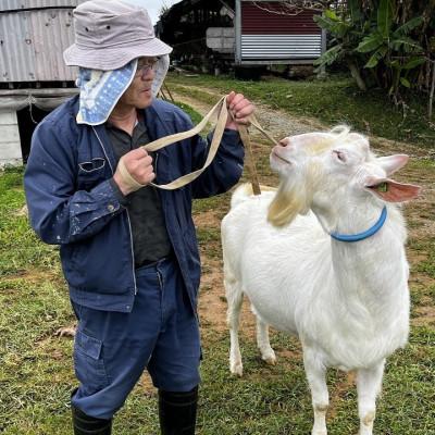 ふるさと納税 今帰仁村 今帰仁生まれの「美らヤギ」刺し身2パック 山羊汁2パック |  | 03