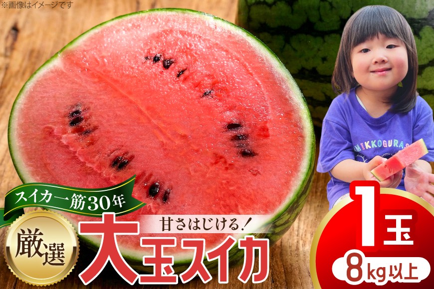 
                  BJ698 【令和9年出荷分】 Farm honda 大玉スイカ 1玉 9kg〜10kg [ スイカ すいか 西瓜 大玉すいか 肥後浪漫 羅皇ザ・スイート 羅王 ラオウ らおう あまい 本多光則農園 長崎県 島原市]
                