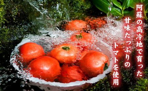 阿蘇とまとのチキンカレー　５個セット