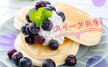 【全3回定期便】 大容量 対馬産 ブルーベリー 1.4kg （ 冷凍 ）【 さほの里ファーム 】《 対馬市 》 離島 対馬 有機肥料 旬 果物 フルーツ[WBG002] コダワリブルーベリー こだわり