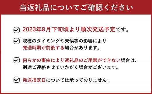 【2023年8月下旬より順次発送】豊水 梨 約5kg (8～12玉)