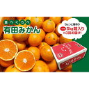 【ふるさと納税】定期便 ちょっと 傷あり 5kg ×3 回 コース 有田みかん 食べくらべ 3種 全3回 南泰園