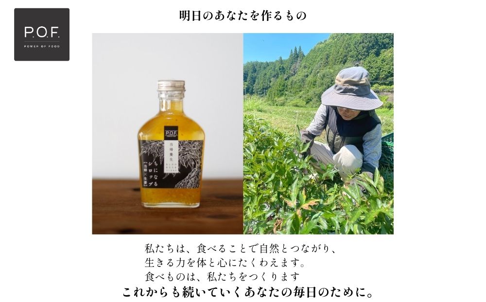 ちになるシロップ ＜大和当帰＞150ml × 2種セット ／POWER OF FOOD ふるさと納税 芍薬 生姜 シロップ 瓶 ガラス瓶 国産 食材 炭酸 大和当帰葉 有機 お湯割り 甜菜糖 ハチミツ