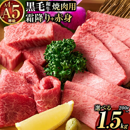 【ふるさと納税】黒毛和牛 A4〜A5等級 霜降り カルビ 赤身 焼肉 A4 A5 200g ~ 1500g 数量限定 先行予約 牛肉 冷凍 くまもと黒毛和牛 《7-14日以内に出荷予定(土日祝除く)》 冷凍庫 個別 取分け 小分け 個包装 ブランド牛 熊本県 荒尾市 ギフト 贈答 人気