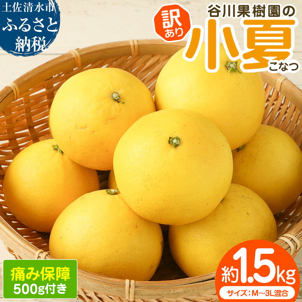 【ふるさと納税】令和9年4月中旬以降発送 訳あり 小夏 谷川果樹園の小夏1.5kg 日向夏 みかん 柑橘 フルーツ こなつ ニューサマーオレンジ 果物 美味しい ワケあり 訳 自宅用 ご家庭用 おやつ ふるさとのうぜい 故郷納税 返礼品 高知 土佐清水市 5000円【R01664】