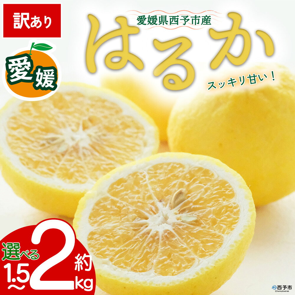 【ふるさと納税】【先行予約】＜訳あり 愛媛県産 はるか 約1.5kg／2kg＞ 『2027年2月以降順次出荷予定』選べる 上品 甘さ さっぱり 酸味 ご家庭用 ご自宅 蜜柑 果肉 果物 柑橘 フルーツ オレンジ 国産 濃厚 果汁 産地直送 ミヤモトオレンジガーデン 愛媛県 西予市【常温】