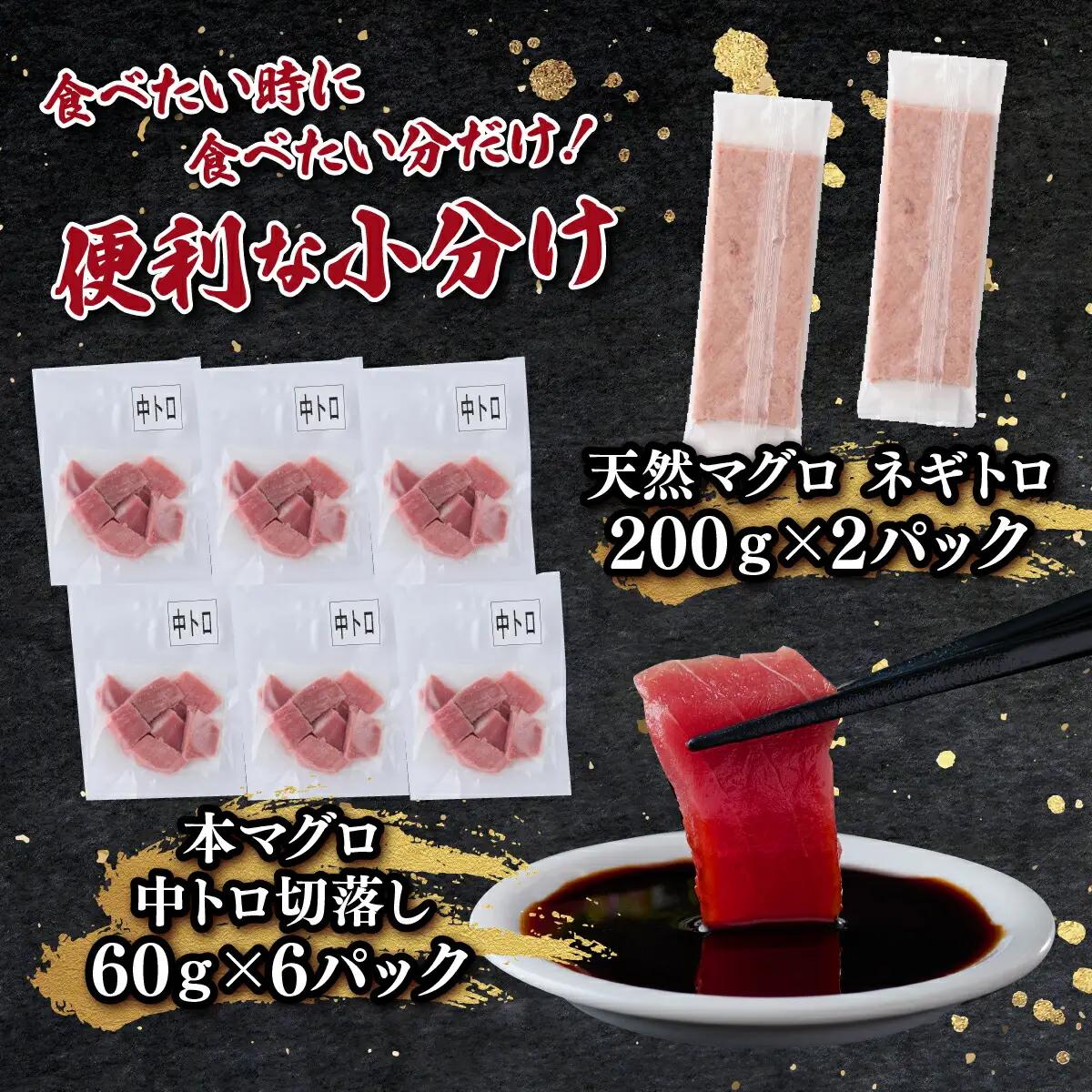 天然 本マグロ 中トロ 刺身 と 天然マグロ ネギトロ セット まぐろ 刺身 海鮮 冷凍 魚 海産物 魚介類 父の日 高知県 まぐろたたき 鮪