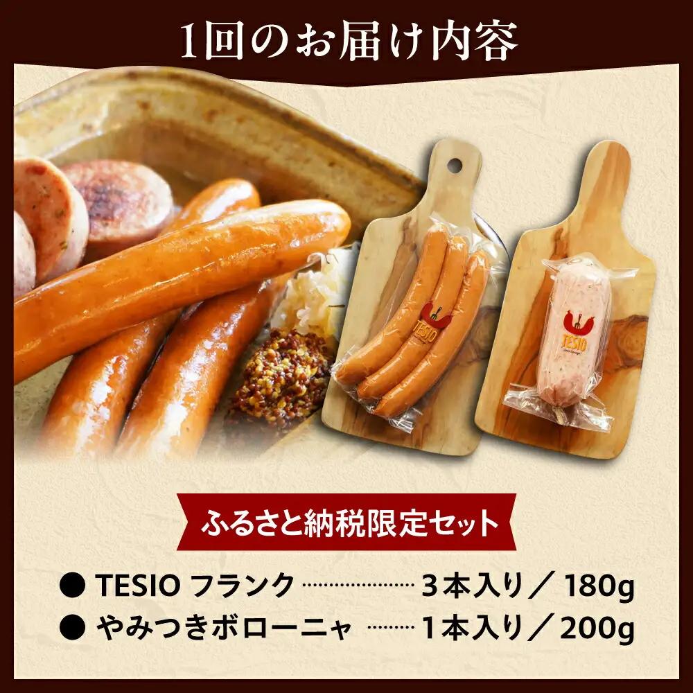 ハム ソーセージ 【全12回定期便】【ふるさと納税限定】フランク ＆ ボローニャ セット BCAD018