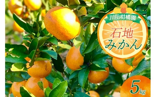【2025年12月上旬～発送】川田柑橘園　呉市大長産「いしじみかん」5kg ku055-014-25