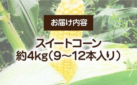 【先行予約受付　2025年6月頃より順次発送】【冷蔵配送】農家直送 朝どれ スイートコーン 約4kg（9～12本入り）《豊前市》【湯越農園】 野菜 コーン [VBC001] とうもろこし