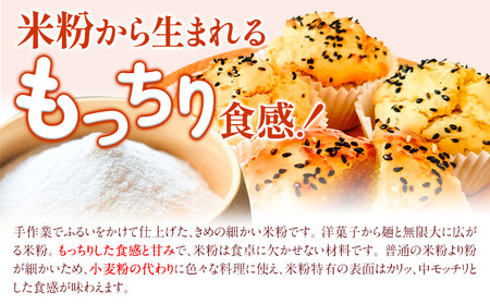 【6ヶ月定期便】ありがとう園の米粉 1kg《お申込み月の翌月から出荷開始》