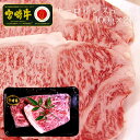 【ふるさと納税】宮崎牛 サーロインステーキ 合計200g（100g×2枚） ステーキ 和牛 冷凍 焼肉 送料無料