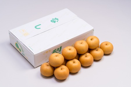 AS02-25A 梨 南水（松川町産）秀品 約5kg ／2025年9月中旬～下旬頃 配送予定 // 長野県 南信州 松川町 和梨 なし ナシ 南水 贈答 農家支援