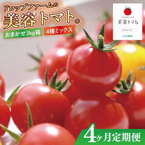 【4ヶ月定期便】【11月より順次発送】ドロップファームの美容トマトおまかせ3kg箱(４種ミックス)（CK-23）
