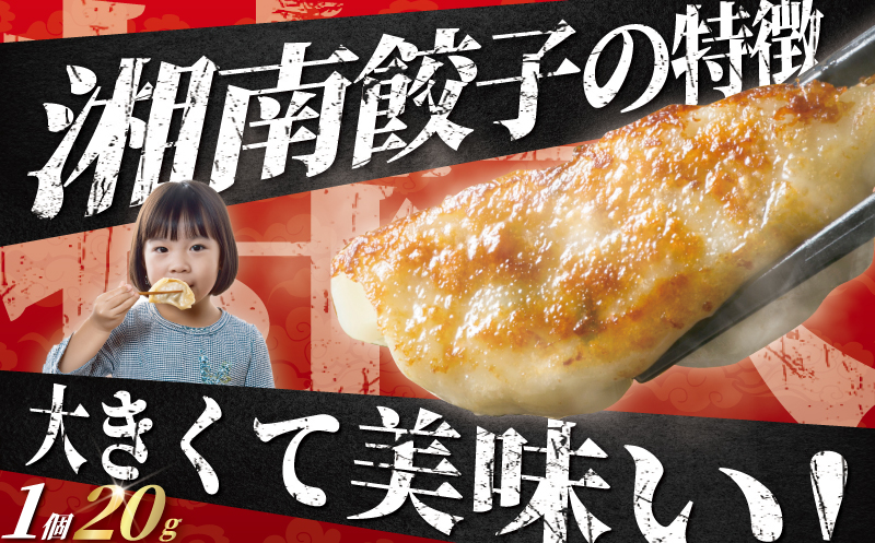 餃子 湘南ぎょうざ 168個 (42個×4パック)  国産 ブランド豚 ルイビ豚 肉汁たっぷり 豚肉 焼き餃子 ぎょーざ ギョーザ ぎょうざ 冷凍餃子 こだわり餃子 生餃子 ごはんのお供 晩酌のお供 