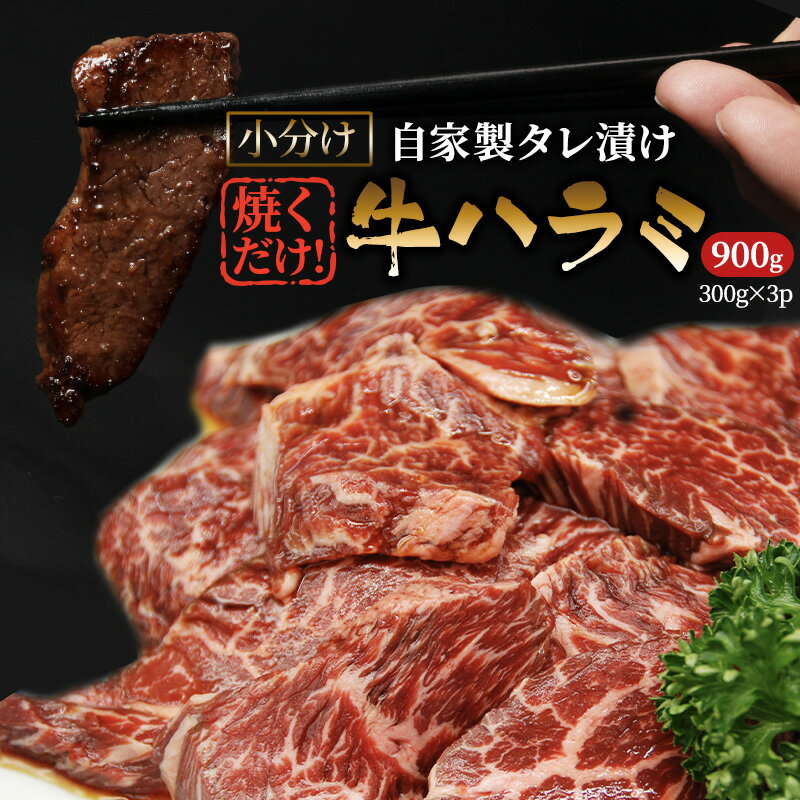 【ふるさと納税】ハラミ たれ漬け 900g 牛肉 牛 肉 お肉 味付け肉 タレ 焼くだけ 真空パック 小分け 個包装 漬け 焼き肉 焼肉 バーベキュー アウトドア キャンプ 弁当 おかず 冷凍 牛ハラミ 大阪 柏原市 大阪府柏原市