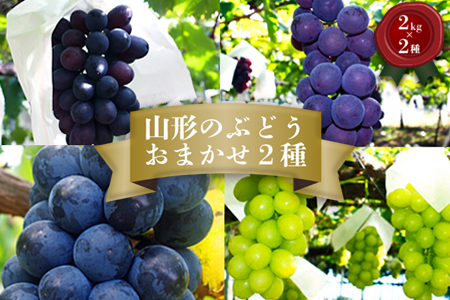 【2026年発送】「秀品」山形のぶどう品種おまかせ約4kg(約2kg×2種)_H056(R8)