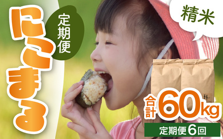 【令和7年産 新米】定期便《6ヶ月連続お届け》精米 にこまる 5kg×2袋 10kg（計60kg）＜低農薬栽培＞ ／ 高品質 鮮度抜群 福井県 あわら市産 ブランド米 白米 お米 米 [aw066-k002]