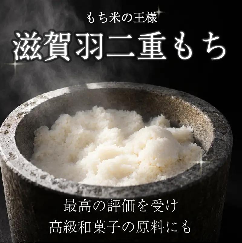 もち米 5kg 滋賀羽二重もち 餅 糯