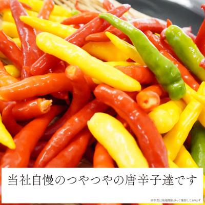 ふるさと納税 登米市 宮城県登米市産 唐辛子 品種インドジンウソツカナイ 3kg(500g×6P)　殺菌後急速冷凍 業務用 |  | 03