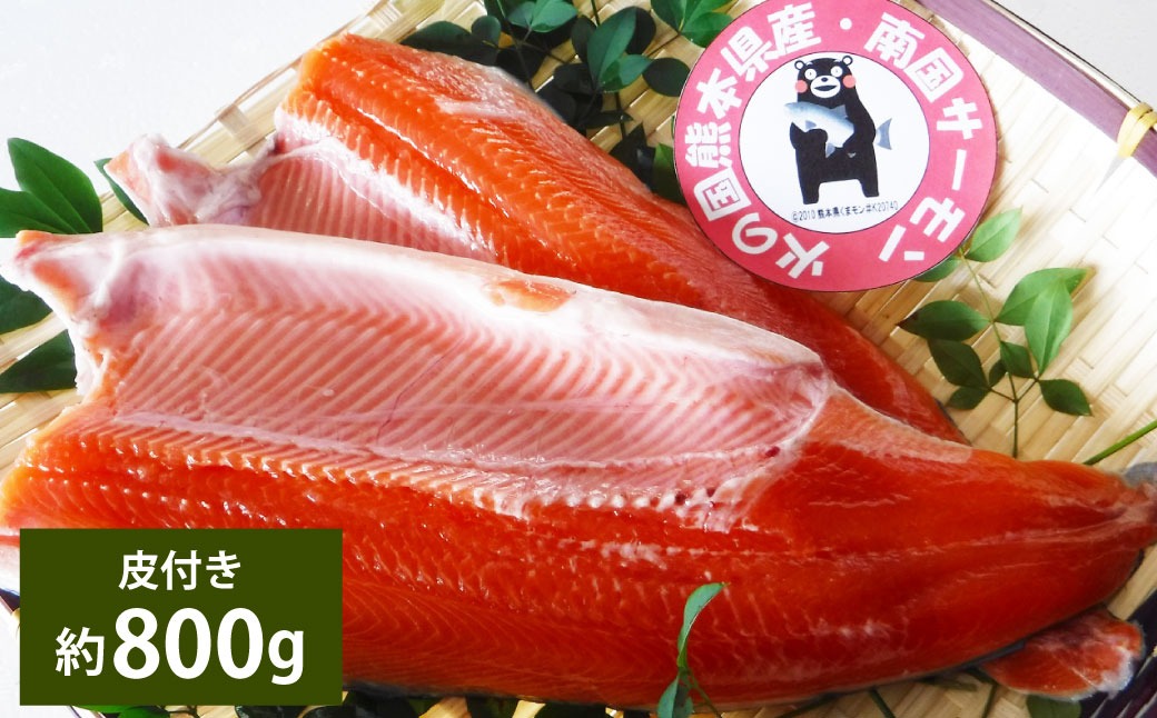 南国サーモン 約800g 皮付き 200g×4個 サーモン 鮭 サケ さけ 刺身 焼き鮭 魚 魚介 冷蔵 熊本県 上天草市 【2027年3月上旬～4月下旬迄発送予定】