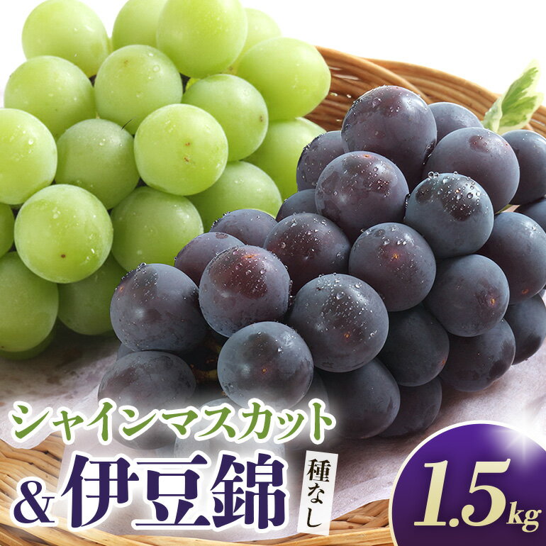 【ふるさと納税】 【2026年先行予約】シャインマスカットと伊豆錦（種なし）1.5kg（2〜3房） 葡萄 ブドウ フルーツ 果物 くだもの 産地直送 茨城県 石岡市 A02-027