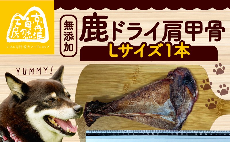 
                  鹿ドライ肩甲骨Lサイズ（23㎝以上）ペット用品 ペットグッズ ペットフード ドッグフード 無添加 肩甲骨 ボーン 歯 健康 国産 ストレス解消 ジビエ 鹿 鹿肉 わんちゃん ペット用品 犬用 ご褒美 おやつ 超小型犬 大型犬 中型犬 犬 イヌ いぬ 京都府 京丹波町
                