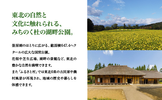 【みちのく杜の湖畔公園】大人1名年間パスポート・駐車場１台分年間パスポート　【04324-0399】