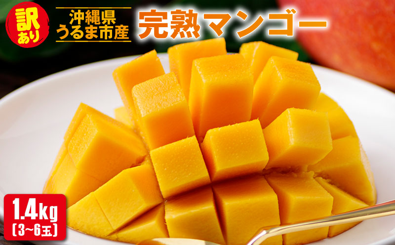 沖縄県 うるま市産 完熟 マンゴー 訳あり品 1.4kg【2026年発送】