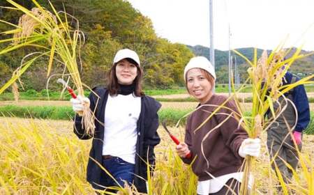【AMAZAKE STAND】ノンアルコール 濃縮生あま酒 400ml×4本セット 冷凍 甘酒