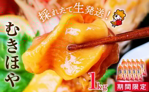 宮城県産 むきほや 1kg （100g×10）ほや 海鞘 お刺身 小分け 石巻市 朝採り 新鮮 魚介