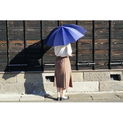 ふるさと納税 古河市 雪華模様のオリジナル傘(サイズ60cm)「もらっても、贈っても喜ばれる傘」ネイビー _BL06 |  | 01