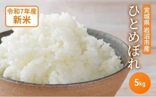 米 令和7年産 宮城県産 ひとめぼれ 5kg お米 精米[№5704-0876]