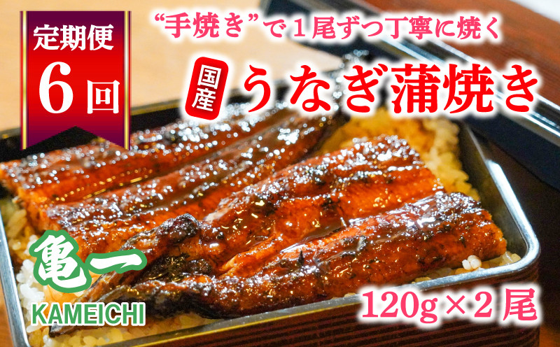 
定期便 6回 うなぎ 蒲焼 約120g 2本 手焼き 鰻 タレ セット うな重 ひつまぶし うな丼 鰻丼 う巻き 蒲焼き 蒲焼 かばやき わさび 山葵 山椒 さんしょう ギフト 贈答 丑の日 冷凍 海鮮 愛媛 愛媛県 愛南町 亀一
