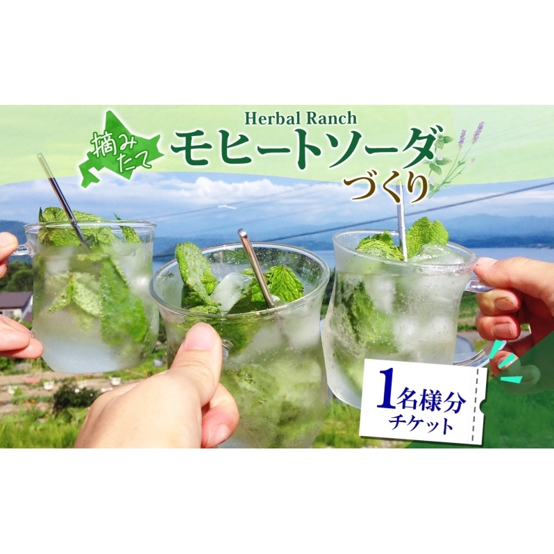 北海道 モヒート ソーダ 作り 体験 ハーブ ミント サイダー ノンアルコール ノンアル オリジナル  天然  リラックス 癒し リラクゼーション 健康 ハーバルランチ 送料無料 洞爺湖