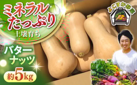 【先行予約】バターナッツ　約5kg 野菜  やさい 【鈴也ファーム】 [AKCE022]