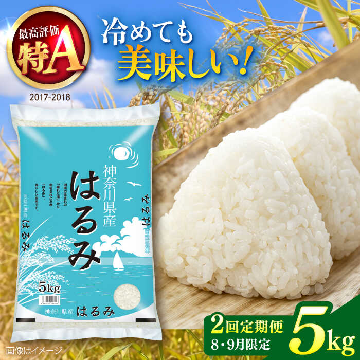 【ふるさと納税】【2025年8月・9月発送】【2回定期便】令和6年産 お米 はるみ 5kg 米 おこめ ごはん 特A 神奈川県 横須賀 精米 白米 コメ こめ 5キロ 希少 定期 定期便【株式会社ヨコショク】[AKGC003]