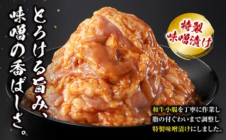 ＜訳アリ＞和牛トロホルモン　特製味噌漬け　0.9kg(300g×3）【2026年10月発送】