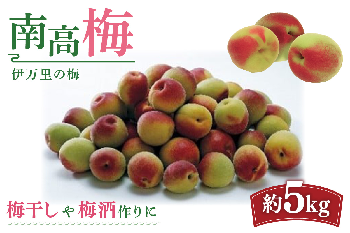 伊万里の梅 南高梅 5kg入り B062