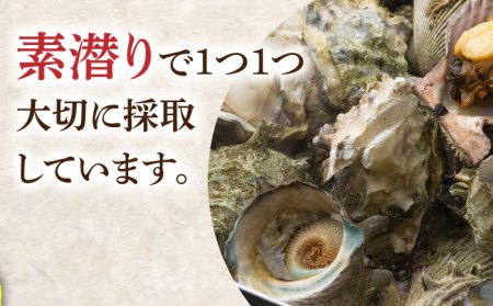 対馬 蒸し貝 缶セット 計約2kg [WAD007] 牡蠣 かき カキ さざえ ヒオウギ貝 国産 九州 長崎 海鮮 BBQ 大容量 シーフード つぼ焼き 酒蒸し バター焼き 魚介類 海産物 コダワリ貝