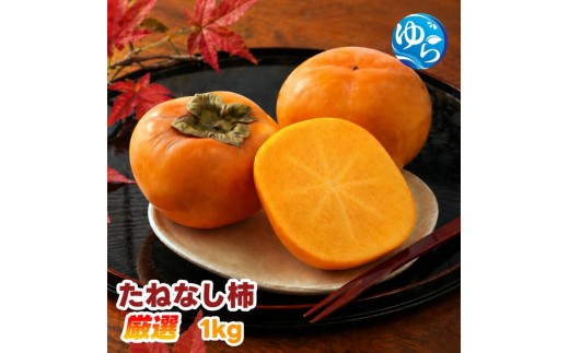 
                  【ふるさと納税】 たねなし柿 1kg 厳選 / 柿 刀根早生 平核無柿 富有柿 ※2026年9月下旬から11月上旬に順次発送 ※北海道・沖縄・離島への配送不可  【ikd504-p-1】
                