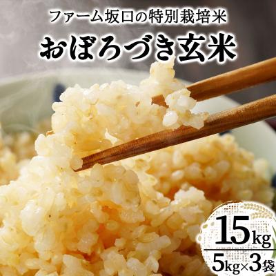 ふるさと納税 岩見沢市 令和7年産!ファーム坂口の特別栽培米 おぼろづき玄米15kg(5kg×3)
