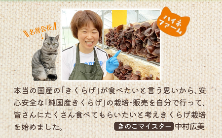 灰猫のきくらげカレー　１セット／１８０g５袋／レトルトカレー