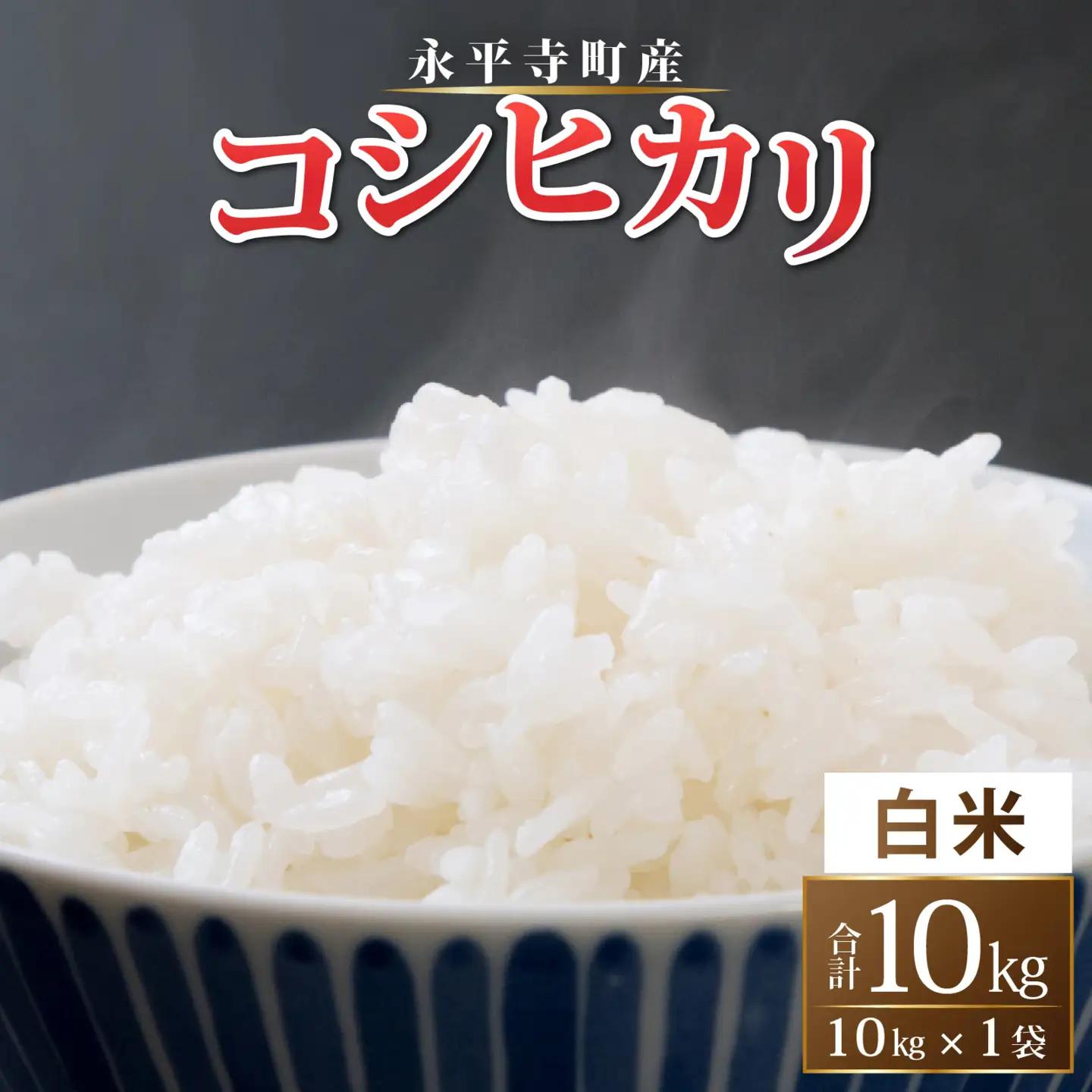 【令和8年産 新米 先行予約】【白米】永平寺町産 コシヒカリ 白米 10kg こめ ごはん 精米 ご飯 お試し 白米 こしひかり