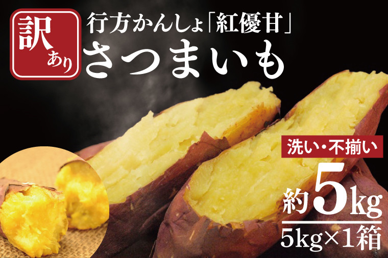 
            【訳あり】行方かんしょ「紅優甘」さつまいも約5kg（洗い・不揃い）(AE-94)
          