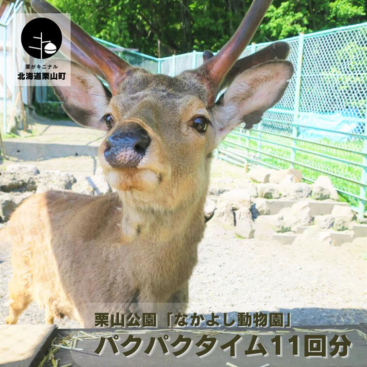 【ふるさと納税】栗山公園「なかよし動物園」パクパクタイム回数券 6回分 《2枚セット・3枚セット・御大師山トリプルかき氷付き》