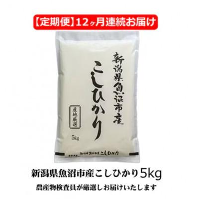 ふるさと納税 魚沼市 【毎月定期便】農産物検査員お奨め　魚沼産こしひかり(精米)5kg全12回