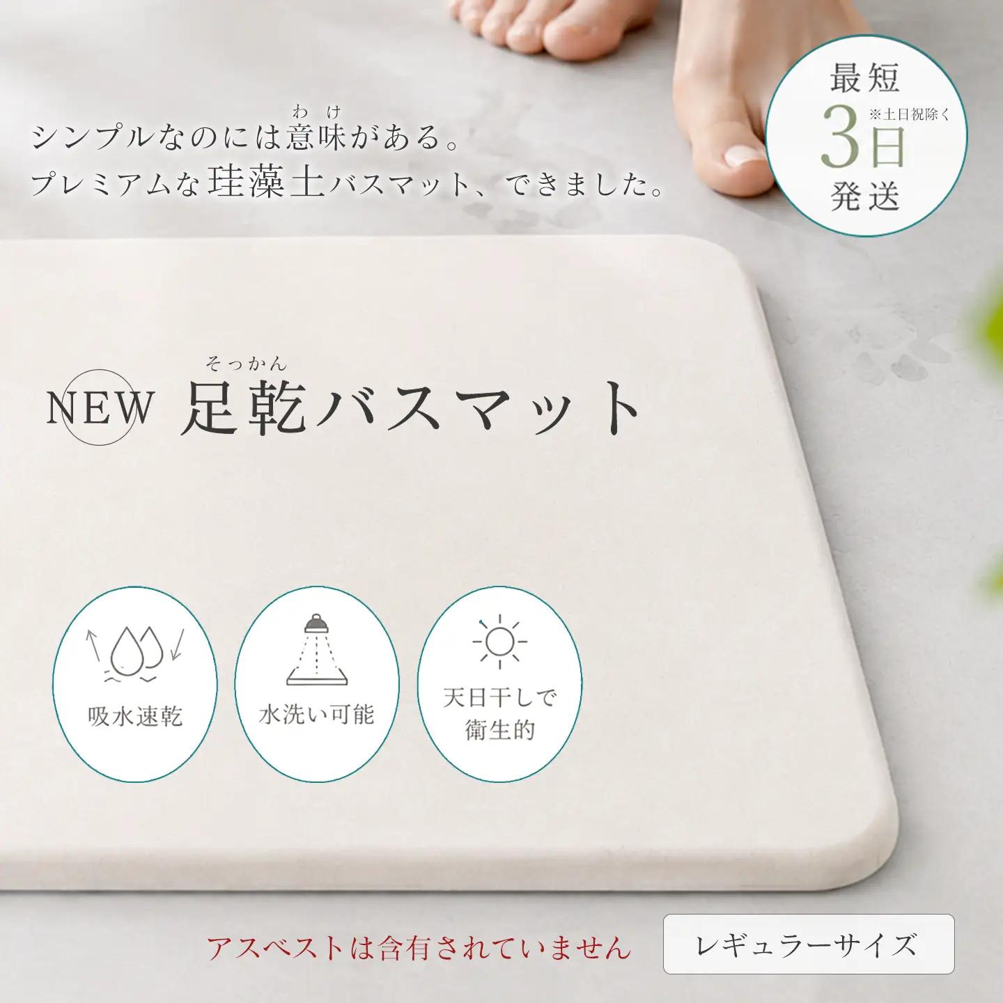 NEW 足乾（そっかん）バスマット_レギュラーサイズ｜ 珪藻土 マット