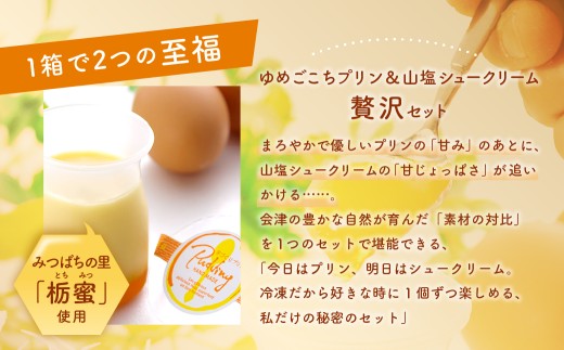 会津ゆめごこちセット卯 ( SP63 ) （ 会津山塩のシュークリーム 約70g × 6個 ／ ゆめごこちプリン 約100g × 3個 ） お菓子 菓子 おかし スイーツ プリン ぷりん シュークリーム 洋菓子 焼菓子 山塩シュークリーム セット 詰め合わせ 食べ比べ